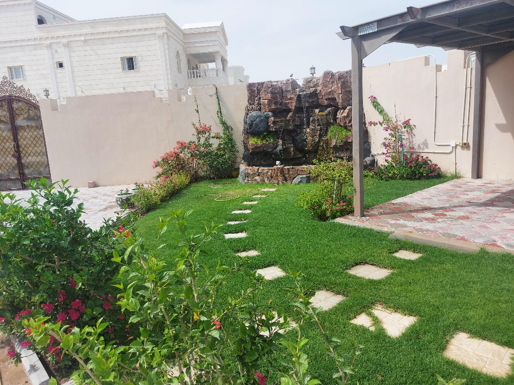 زراعة وديكور - 10