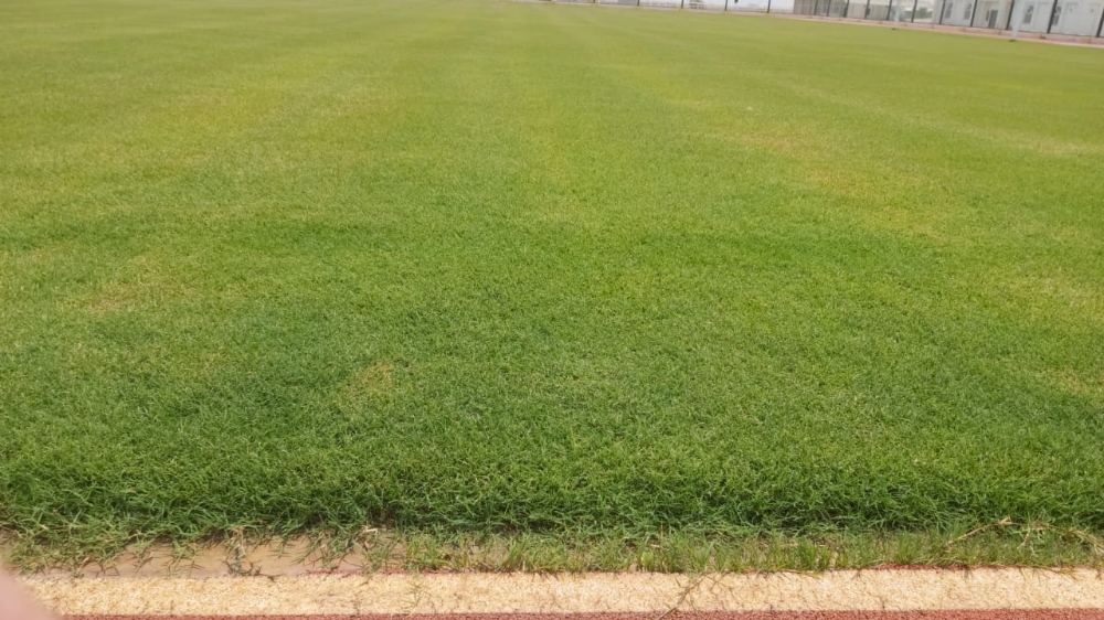 نجيل باسبلم طبيعي - 3