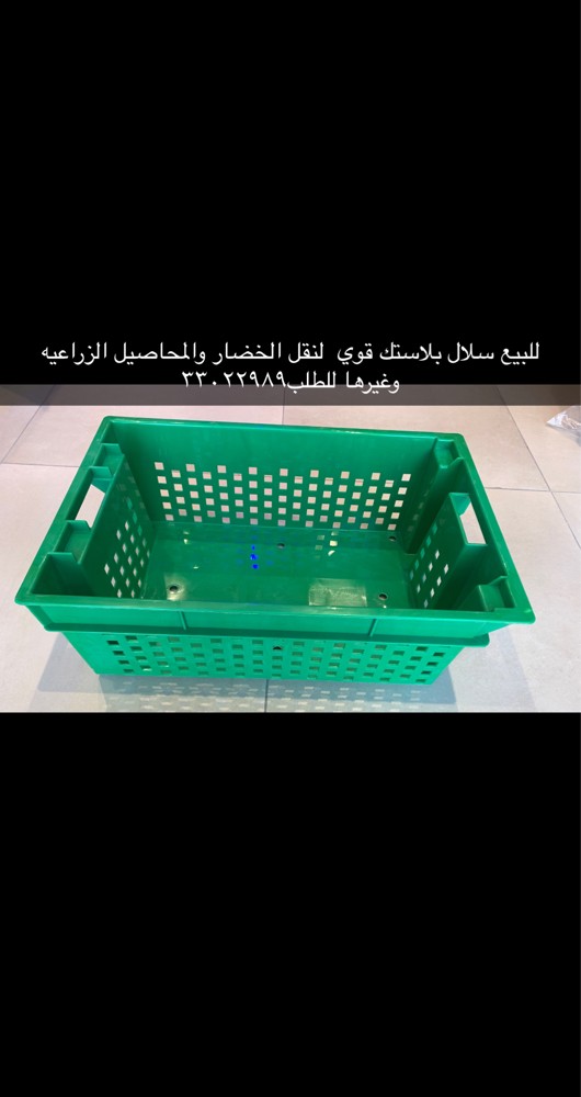for salesheep feeder - 2