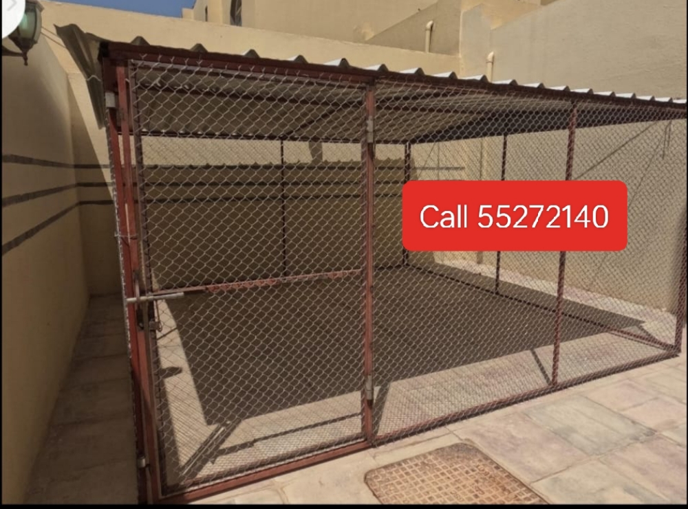 غرفة الحمامة، الدجاج - 1