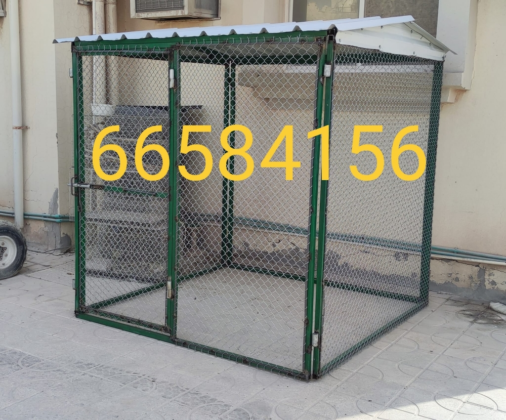 2/2=قفص جديد - 2