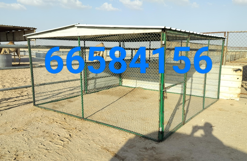 4/4=قفص جديد - 2