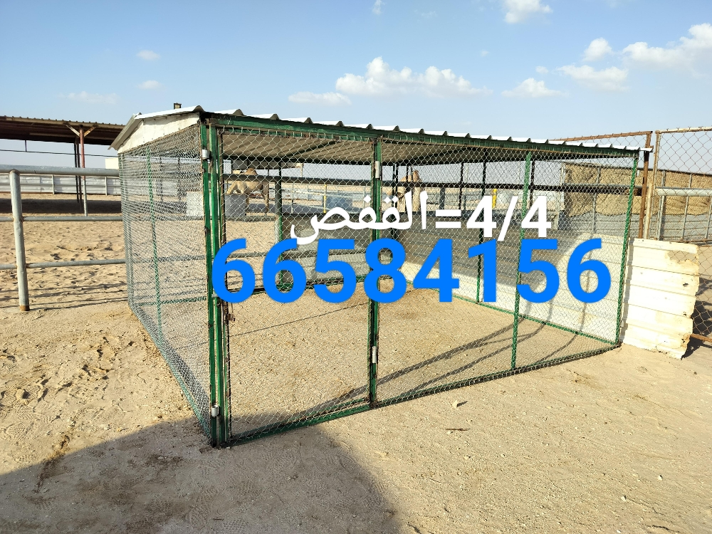 4/4=قفص جديد - 1