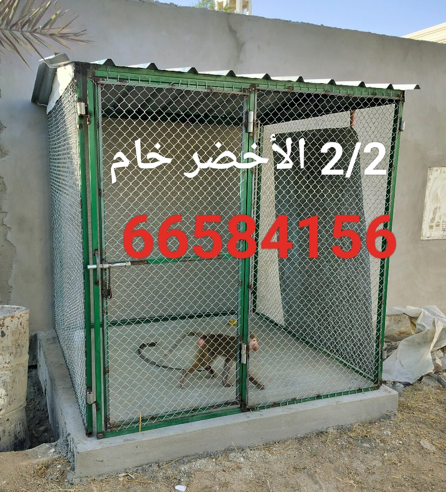 2/2=قفص جديد - 1