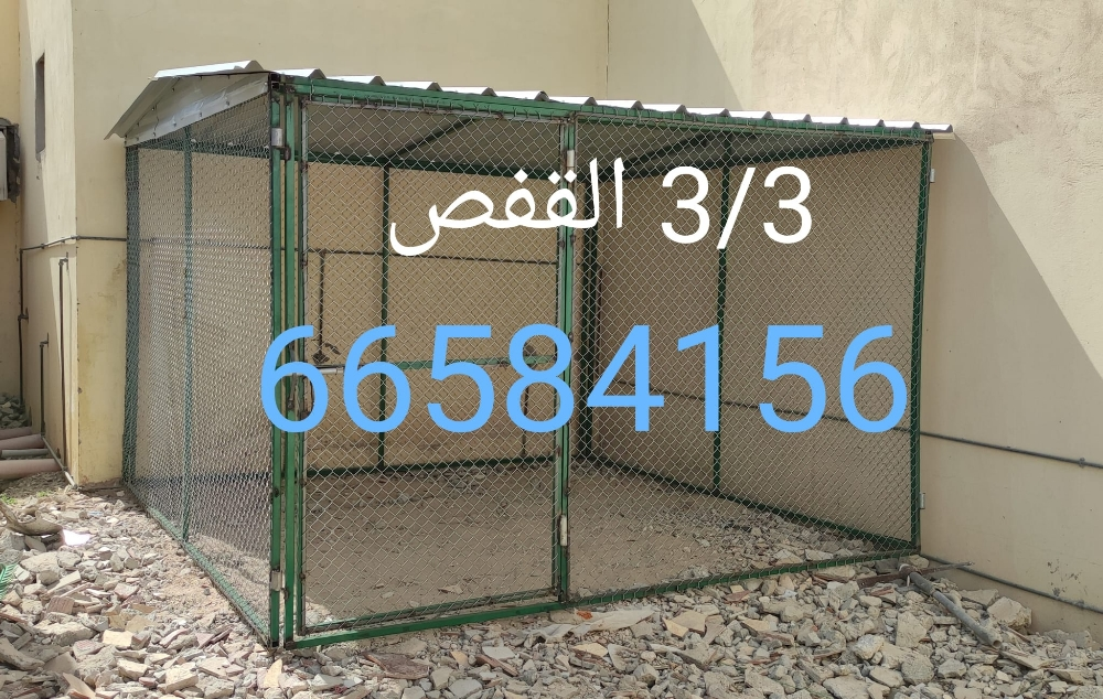 3/3=قفص جديد - 1