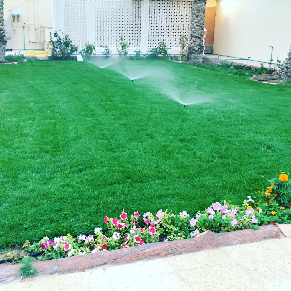 منسق حدائق - 9