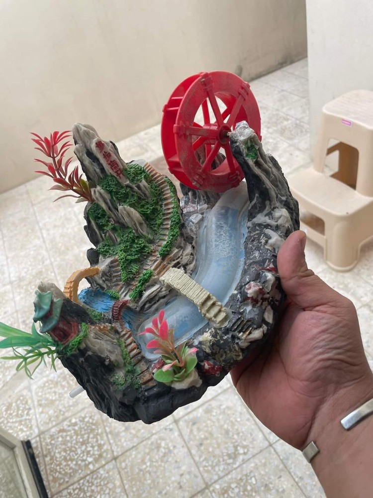 AQUARIUMS WITH ACCESSORIES - 6