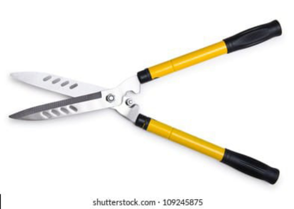 Gardening Service Available - 4