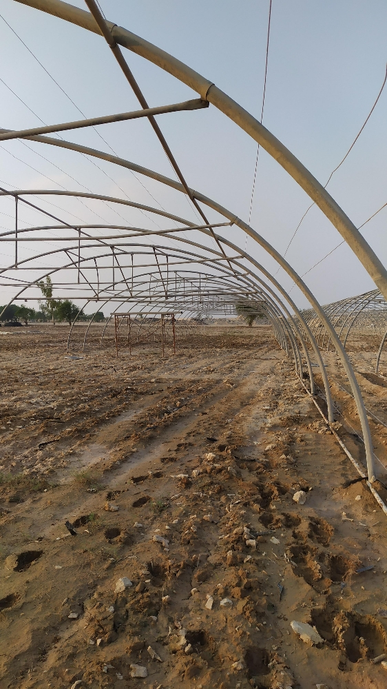 green house working - 1