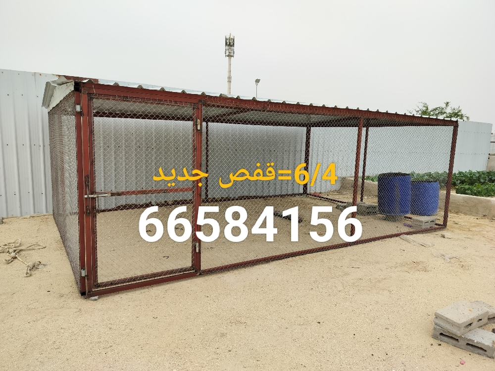 4/4 =قفص جديد - 3