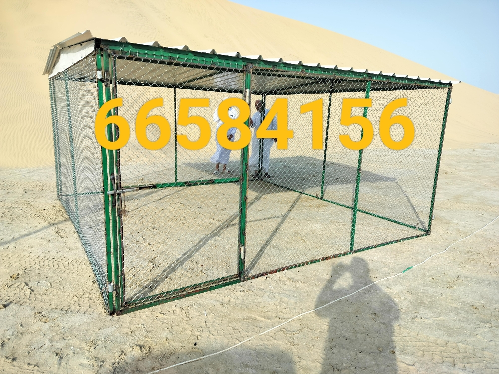 4/4=قفص جديد - 2