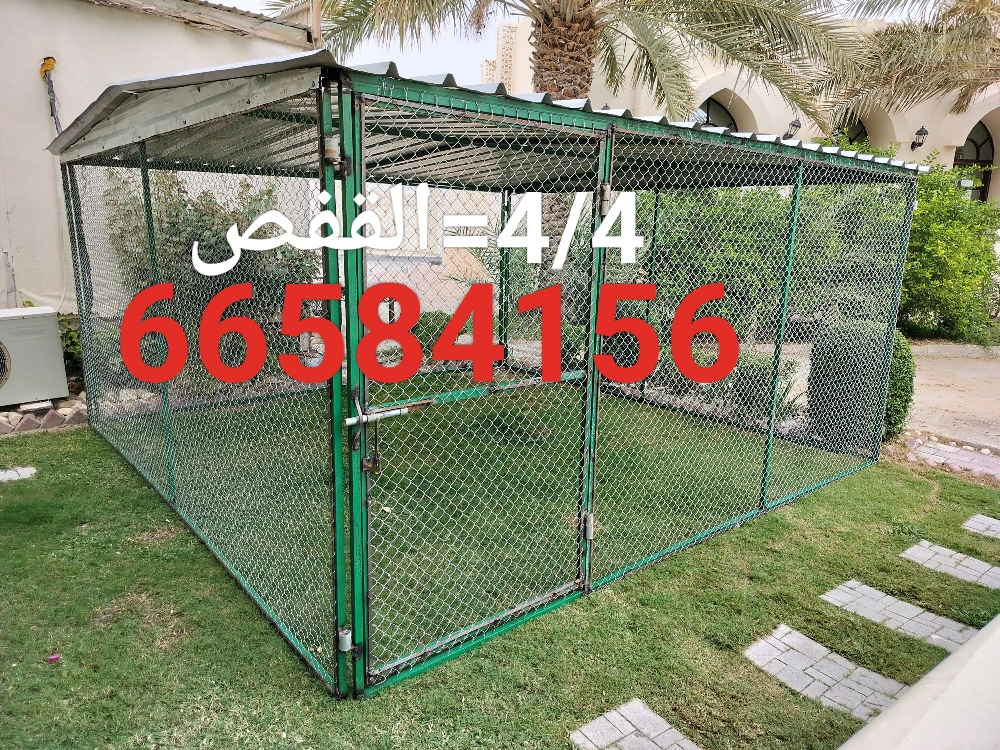 4/4=قفص جديد - 1