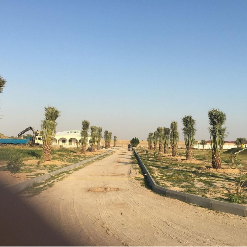 بیع نخیل وفصایل تكريب تنظيف - 15