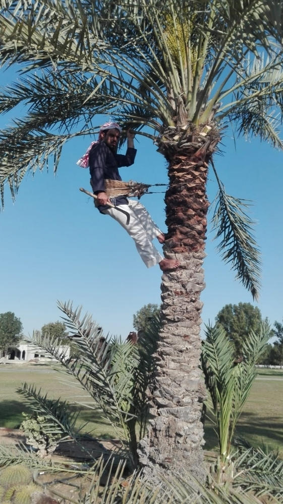 زراع - 1