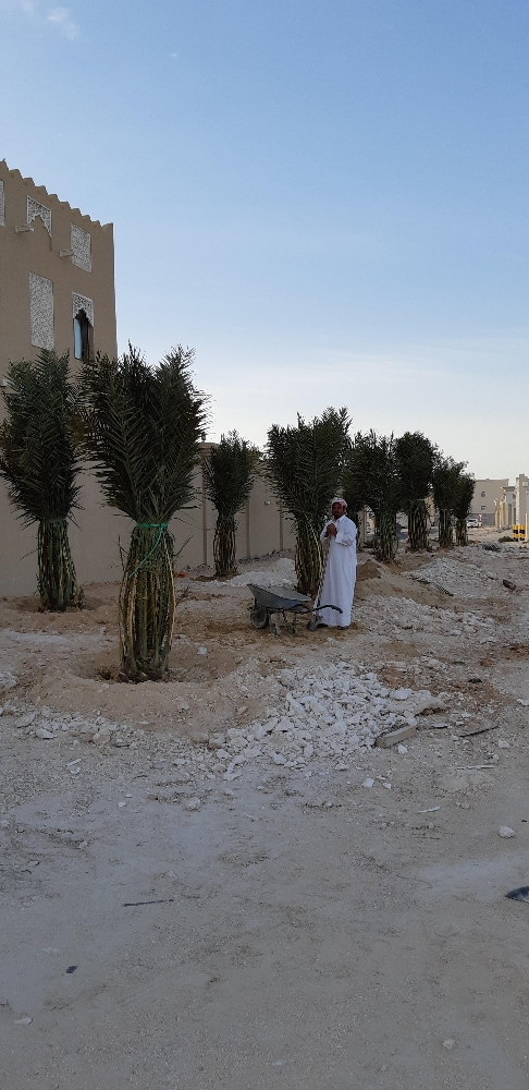 زراع - 9