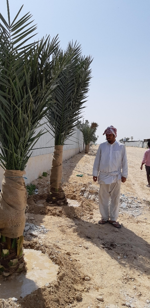 زراع - 2