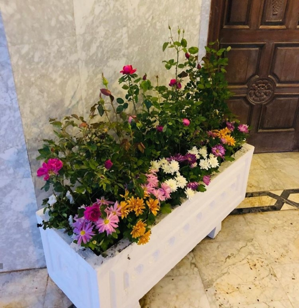 زراعة خضروات - 2