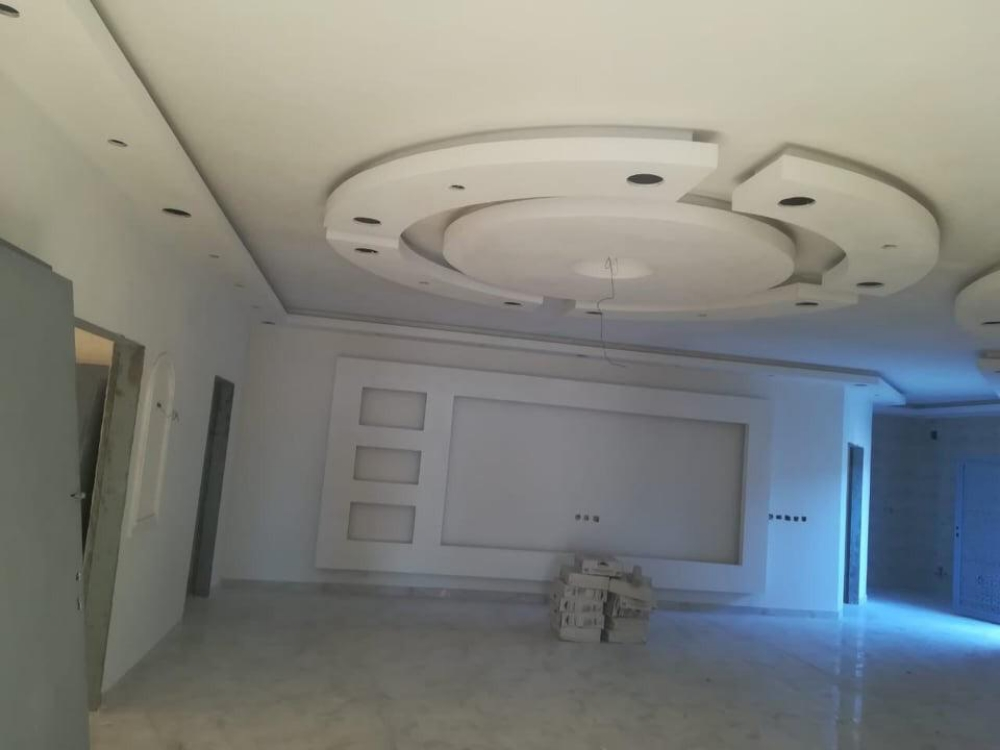 اعمال الجبس والصبغ - 4