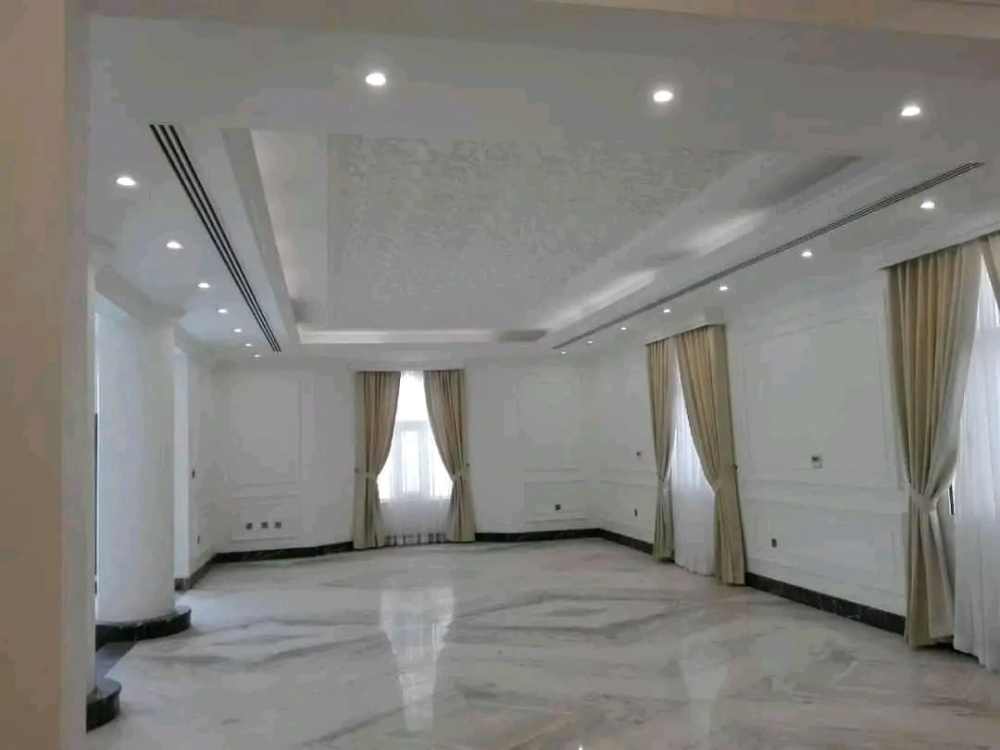 اعمال الجبس والصبغ - 10