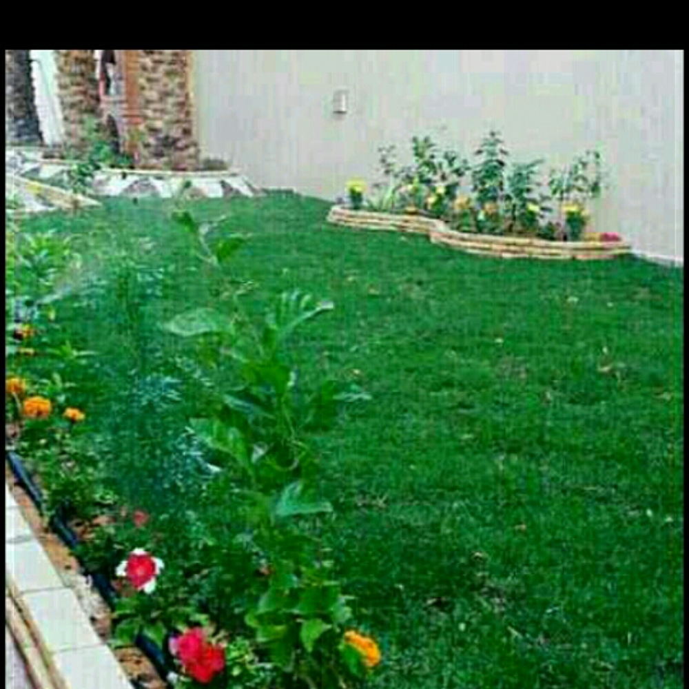 زراعة وتنسيق الحدائق - 13