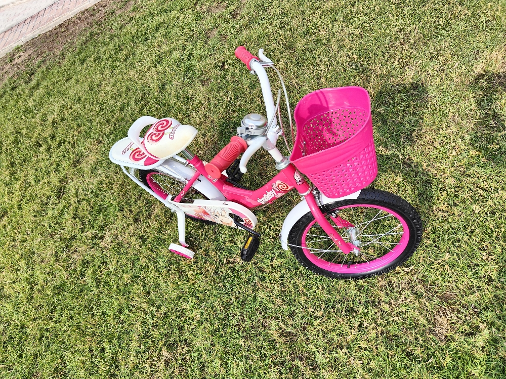 16 bike bicycle gail - 2