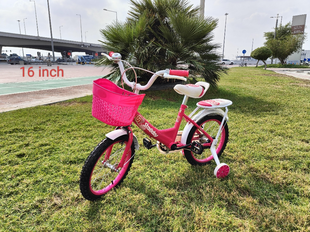 16 bike bicycle gail - 1