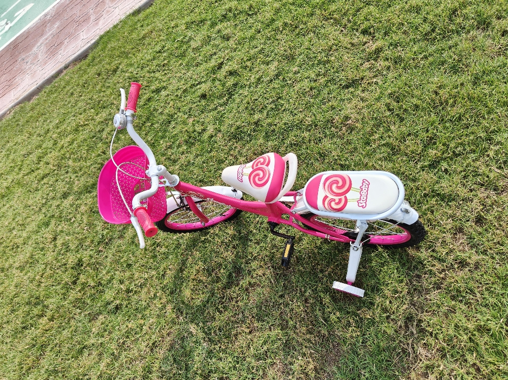 16 bike bicycle gail - 3