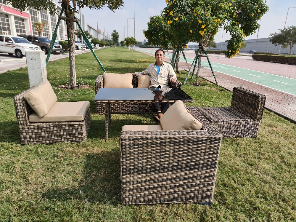 sofa rattan table chair sofa - 8