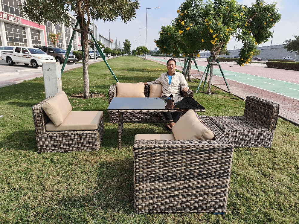 sofa rattan table chair sofa - 5