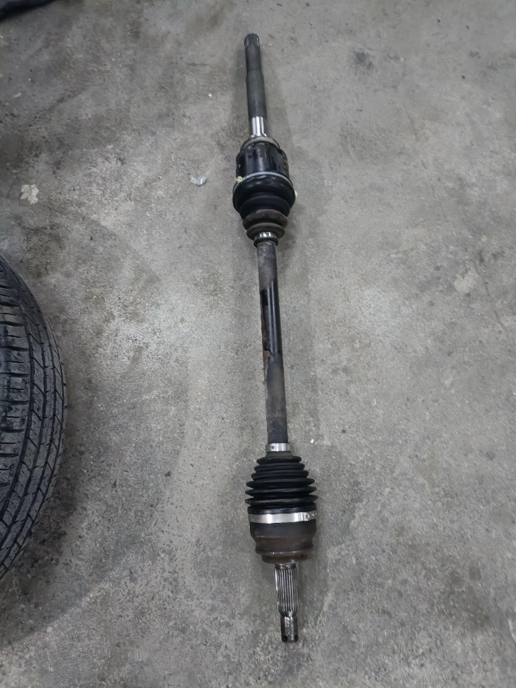 Exal & ignition coil - 5