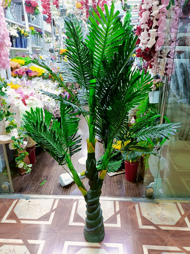 نبات داخلي - 2