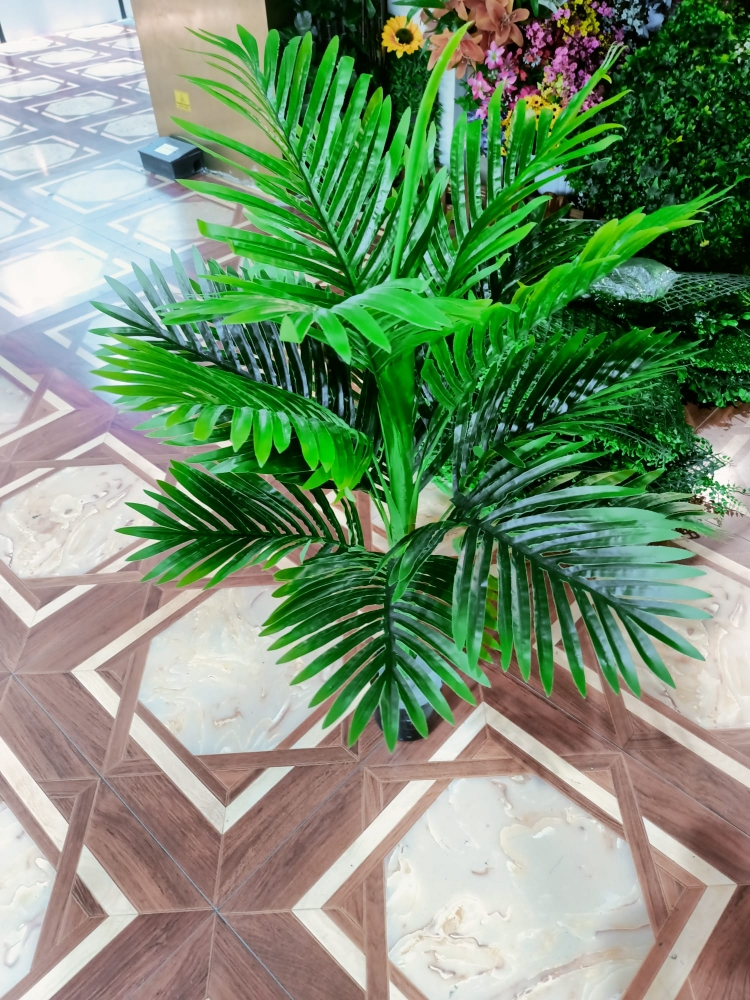 نبات داخلي - 5
