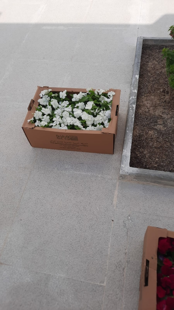 زراع - 3