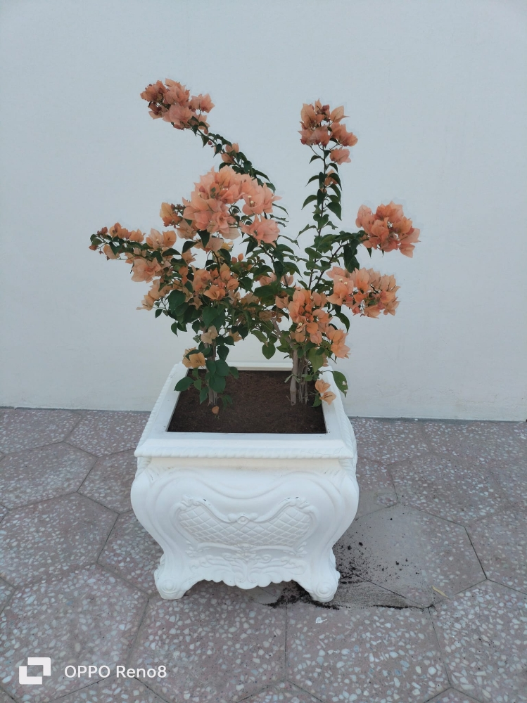 احواض - 8