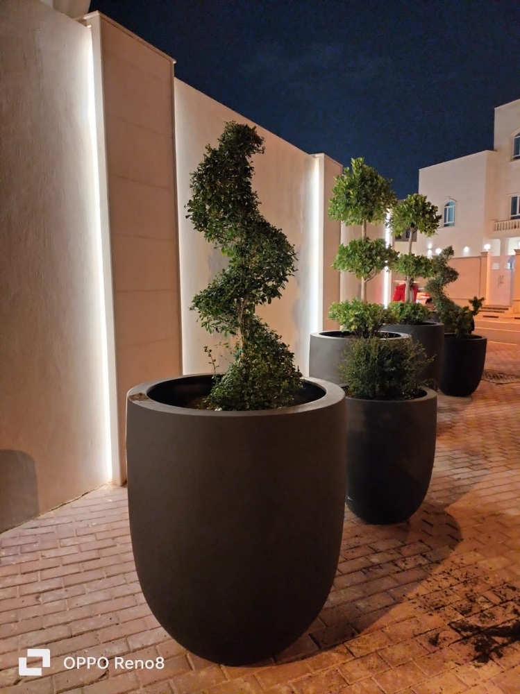 احواض - 11