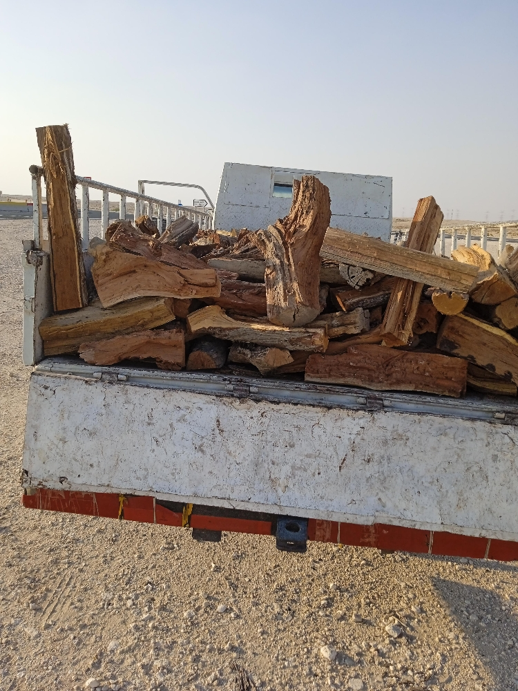 حطب مشلخ - 1