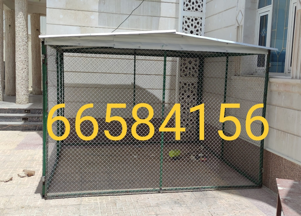3/3=قفص جديد - 3