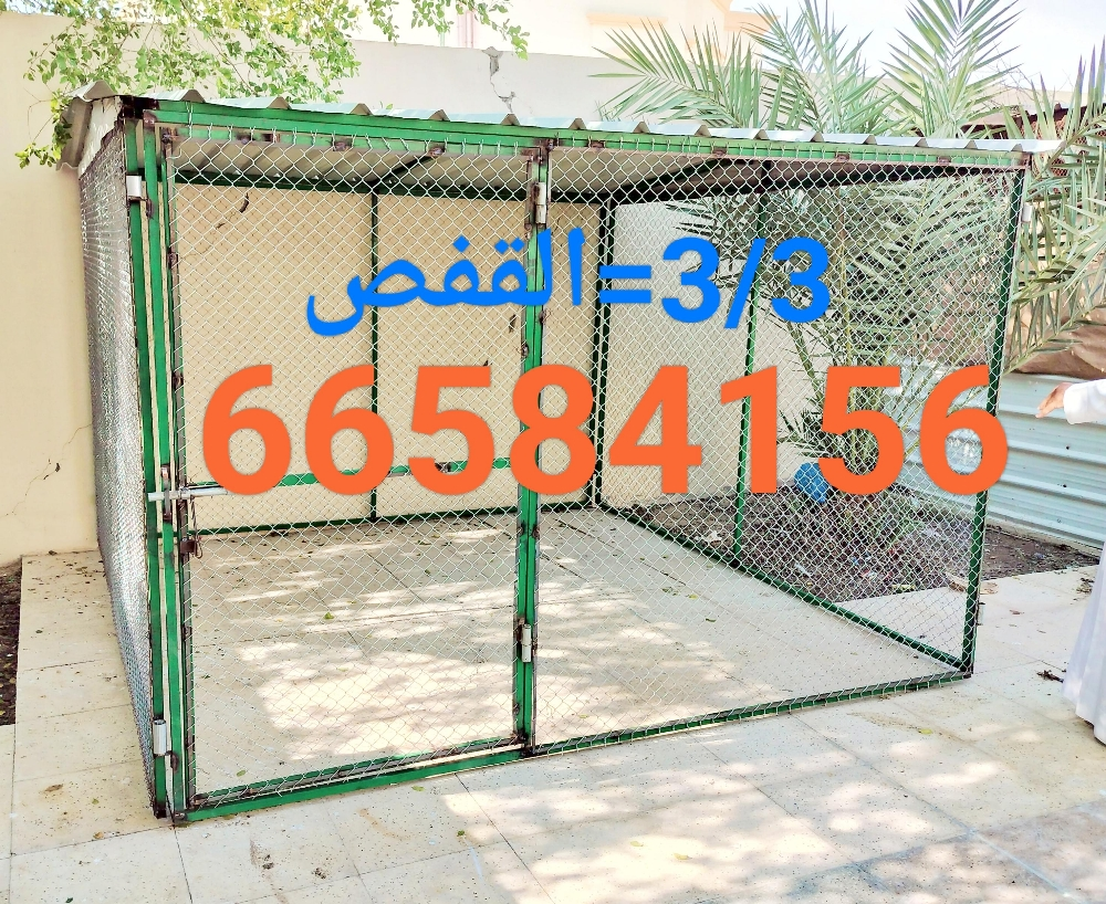3/3=قفص جديد - 1