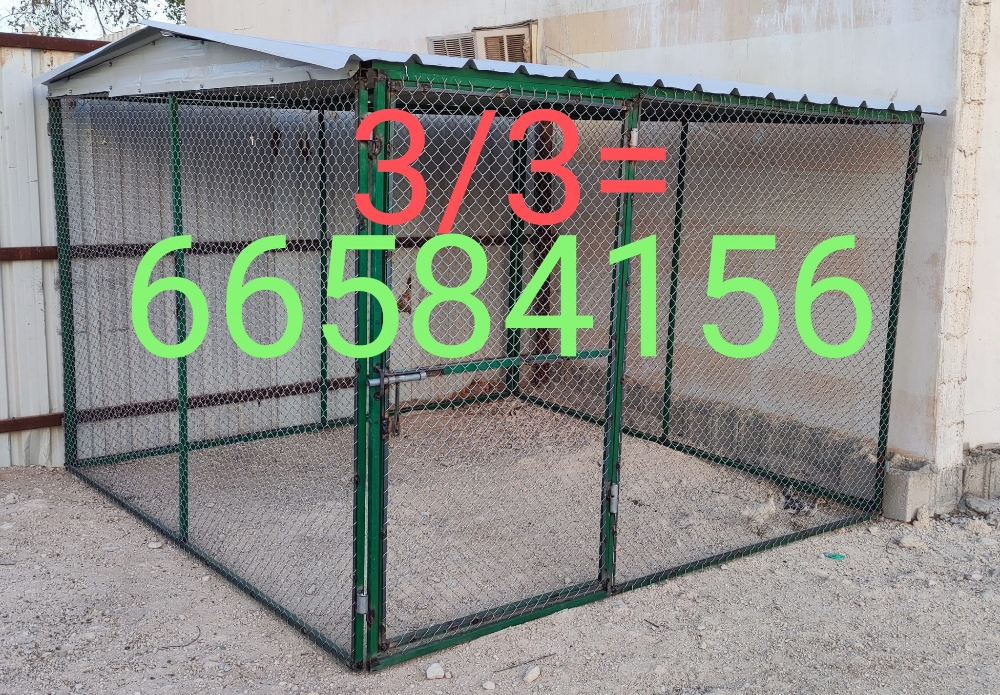 3/3=قفص جديد - 2