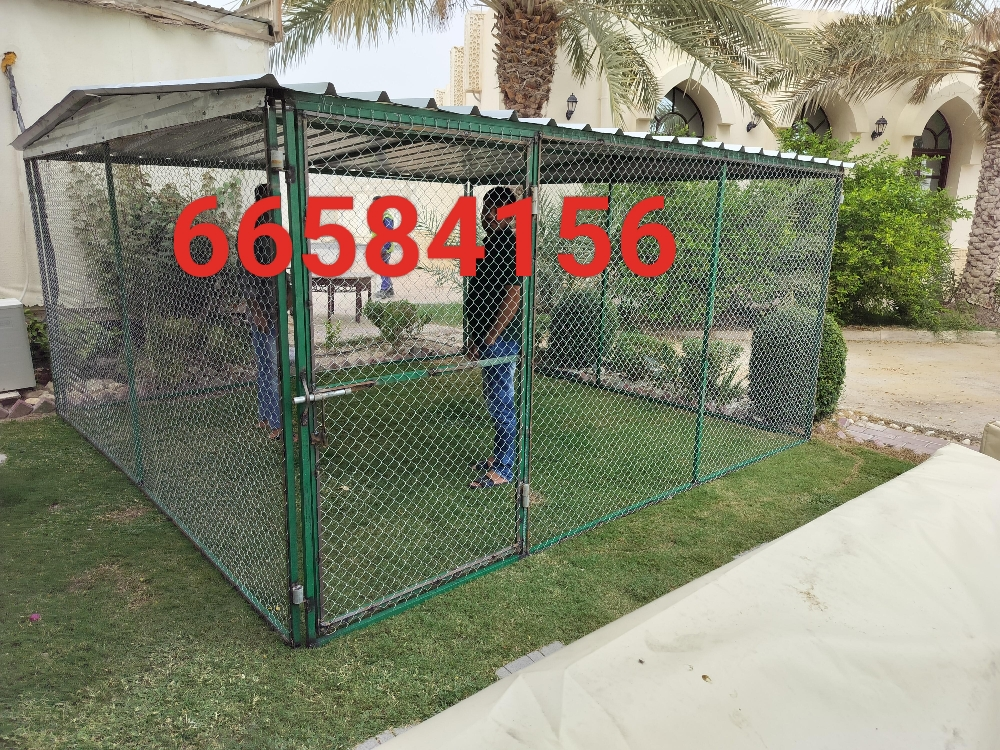 3/3=قفص جديد - 2