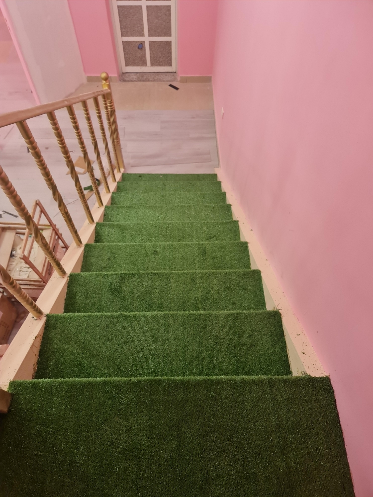 Artificial grass Carpet - 4