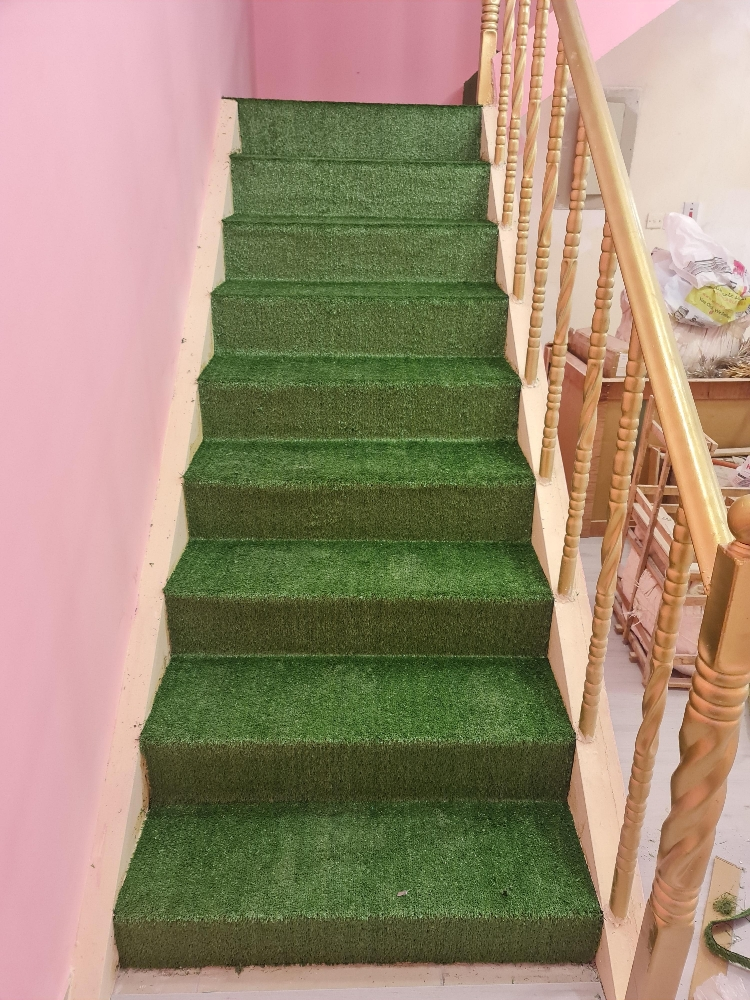 Artificial grass Carpet - 5