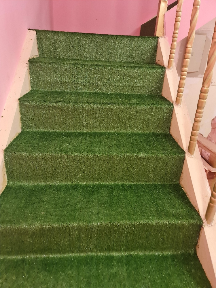 Artificial grass Carpet - 1