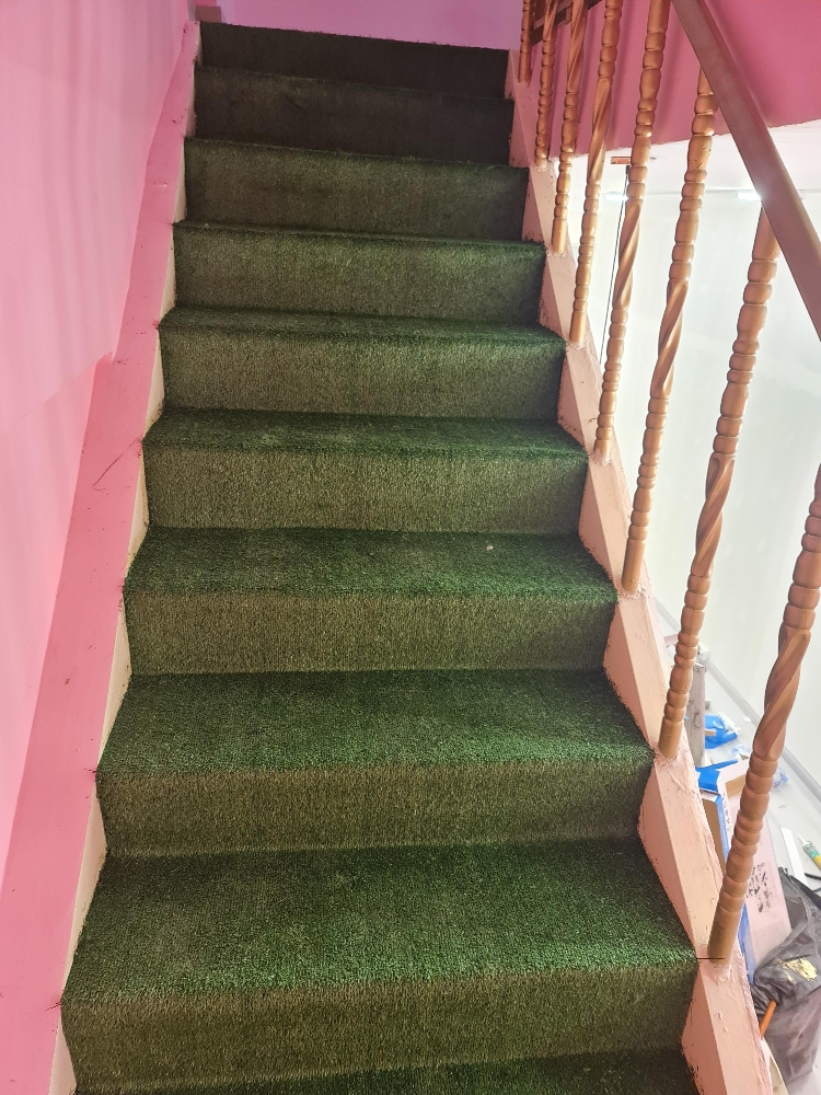 Artificial grass Carpet - 3