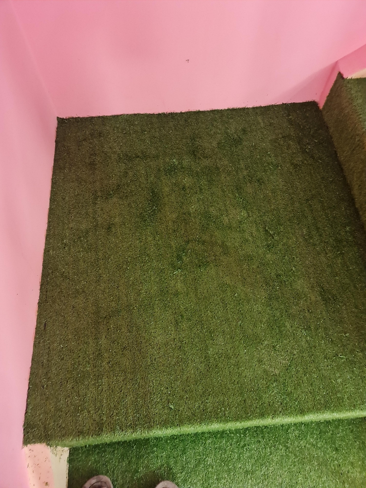 Artificial grass Carpet - 2