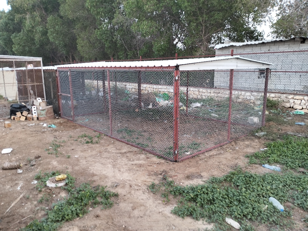 Gopal - 1