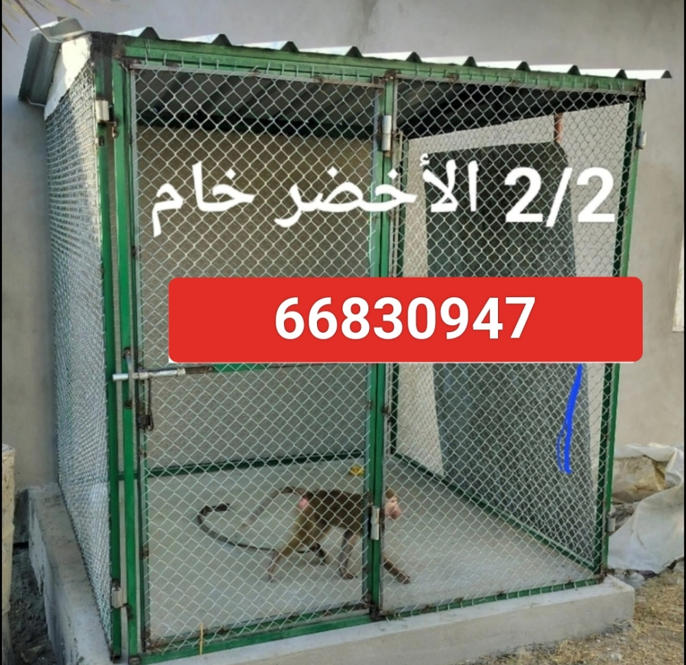 جوباس5 - 2