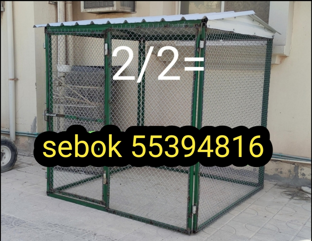 Gofas sebok - 3