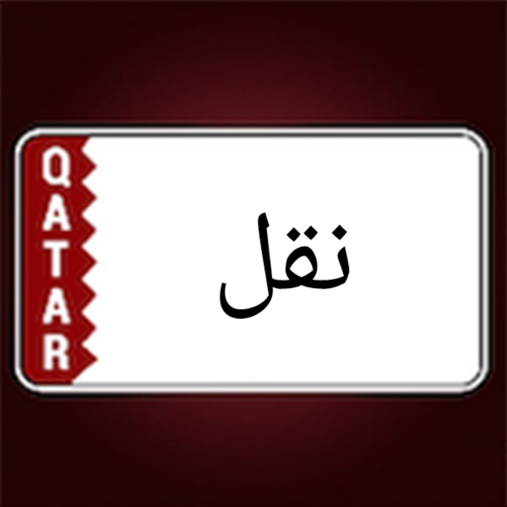 سياره بيكاب لنقل الاغرض والتوصيل - 1