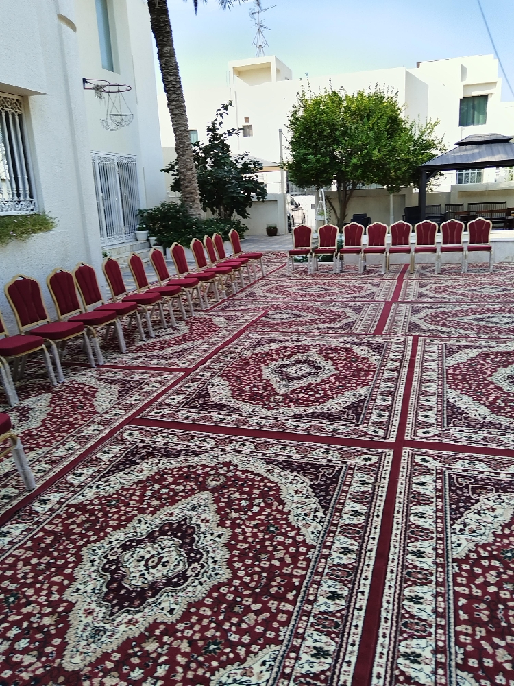 ثلاث ايام كراسي.مخ ما العزم. - 2